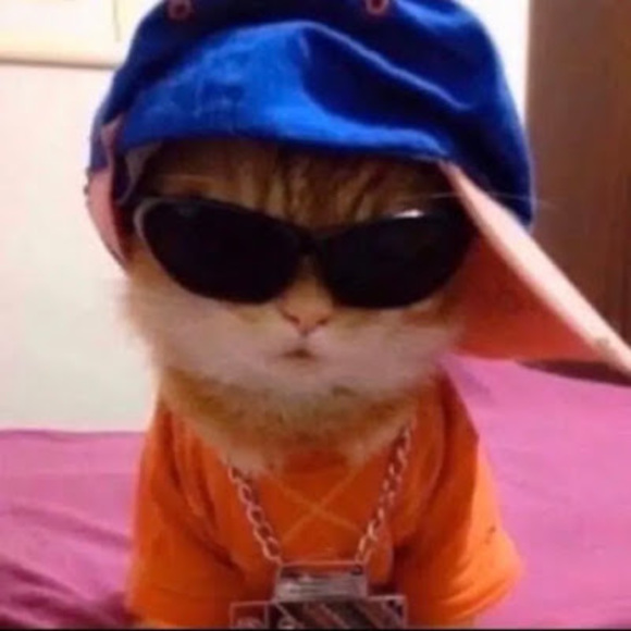 Meet your Posher, Tiktok - Picture 1 of 1